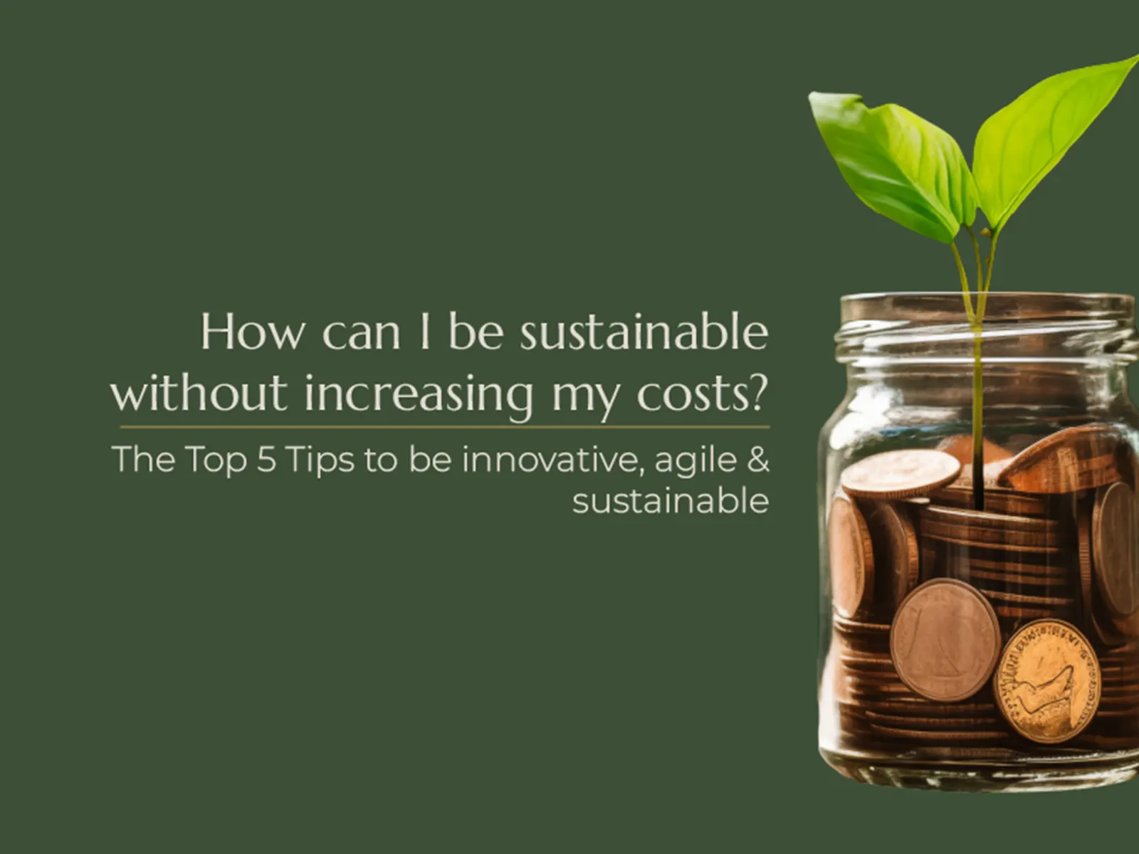 Article how can i be sustainable without increasing my costs