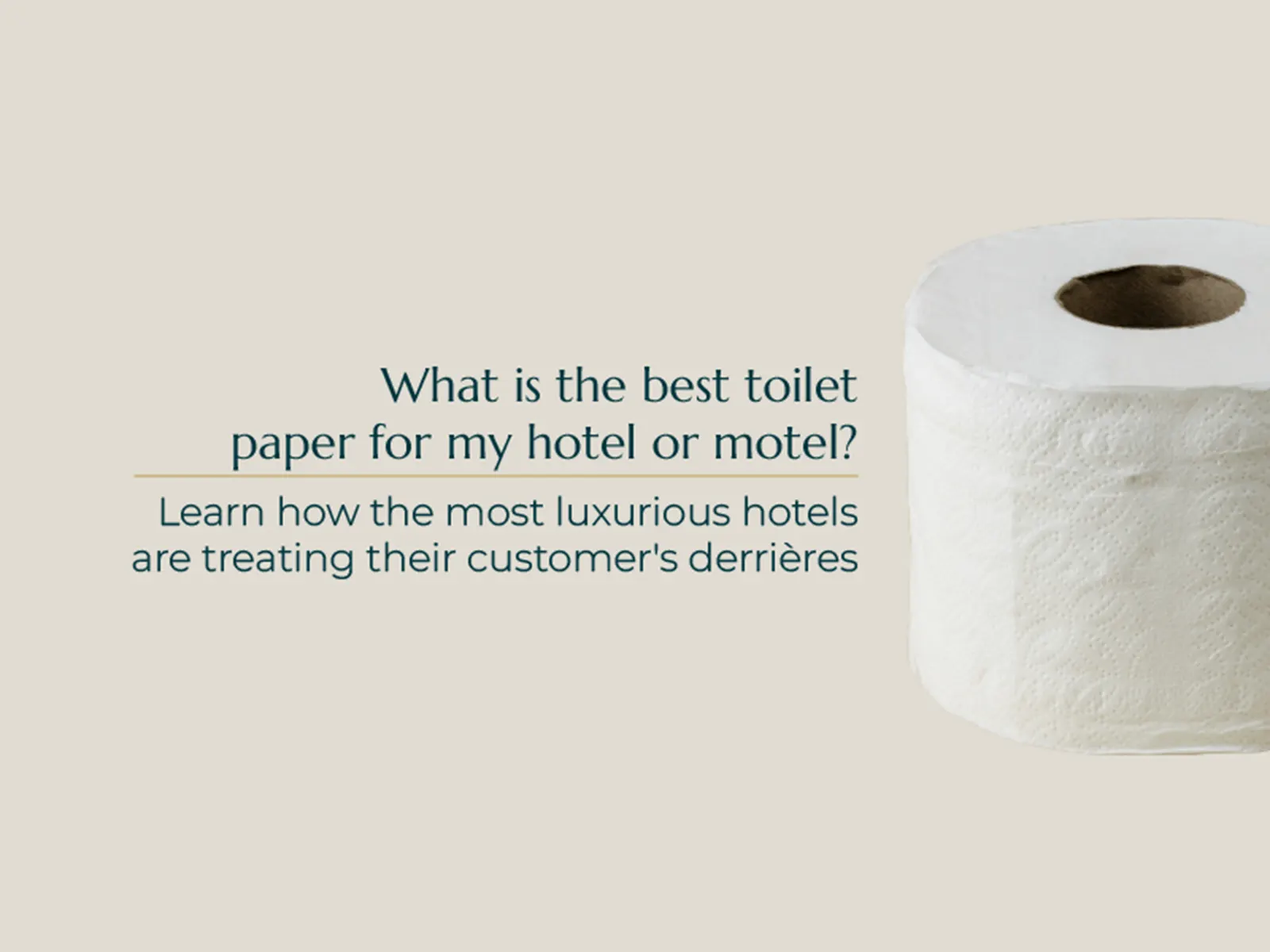 Article what is the best toilet paper my hotel or motel