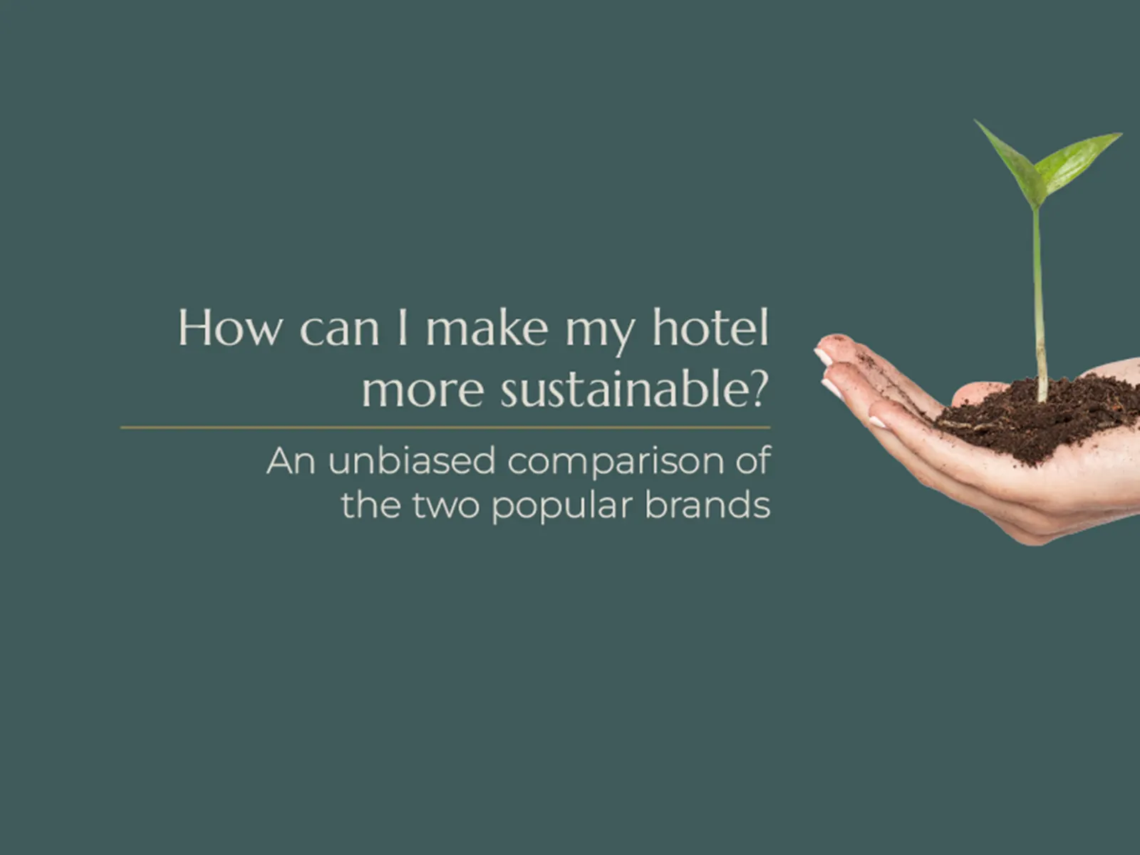 Article how can i make my hotel more sustainable