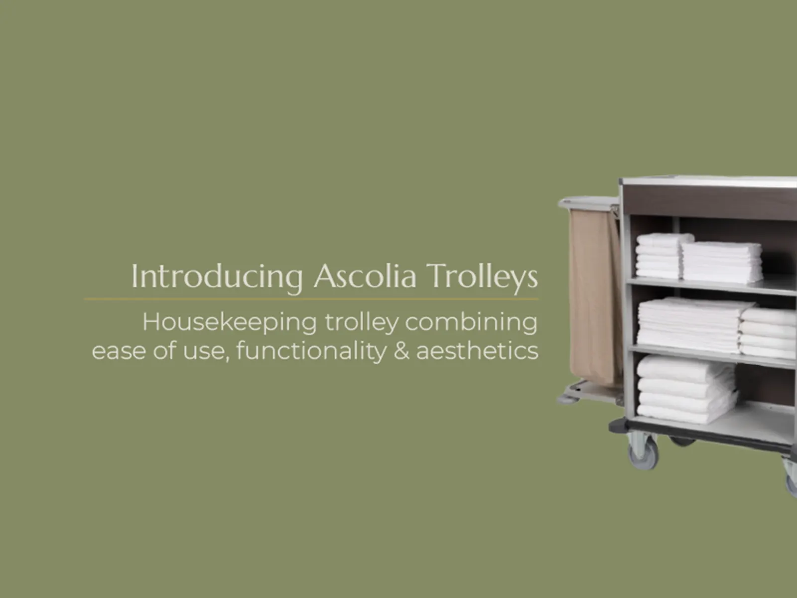 Article introducing ascolia trolleys